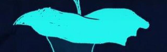 See optiline illusioon paljastab, kas oled õnnelik inimene või mitte