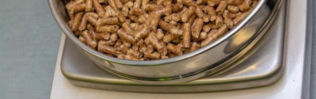 Biomassi põletamine lõppegu!