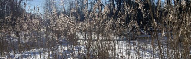 Kliimaatlas koondab 60 aasta andmed