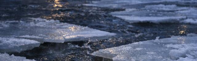 Traagiline õnnetus Kehras: läbi jää vajunud koera ei õnnestunud päästa