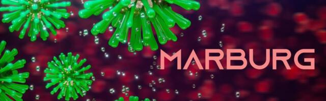 WHO: Tansaania kinnitas esimest korda Marburgi viirushaiguse puhangut