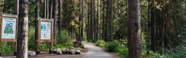 Luunja valla kaasava eelarvega rajatakse Kabina küla tervise- ja matkarada