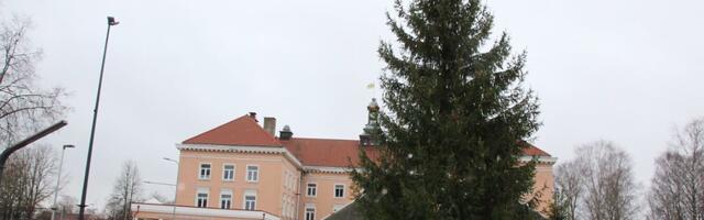 Talvepealinn Otepää sai jõulukuuse