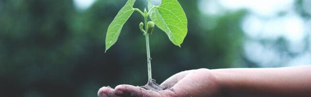 Valitsus kinnitas ettepanekud, mis arvestavad ELi toetuste jagamisel senisest enam piirkondade vajadustega