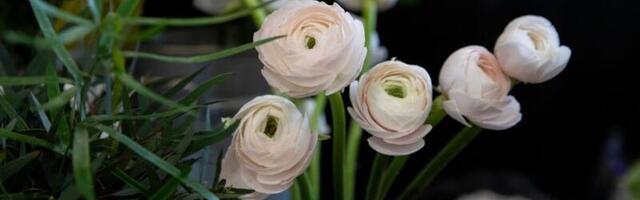 Ülevaade: jaekaubanduse kustutatud ja pankrotistunud ettevõtted