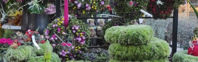 Taimeseaded muudavad halli sügise kirkamaks