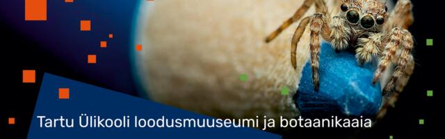 Kogupere loodusviktoriin toimub 23. märtsil