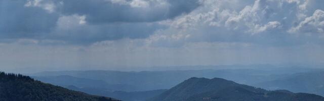 Šta se to dešava na Goliji? Zveri ubrzale prirodni ciklus, sezona počela ranije nego prethodnih godina