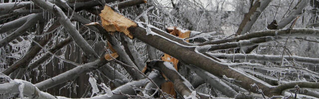 Soomes puhub tugev tuul – tuhandetel on elekter läinud