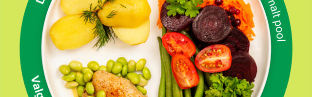 Tervis maitseb hästi, kui järgida taldrikureeglit