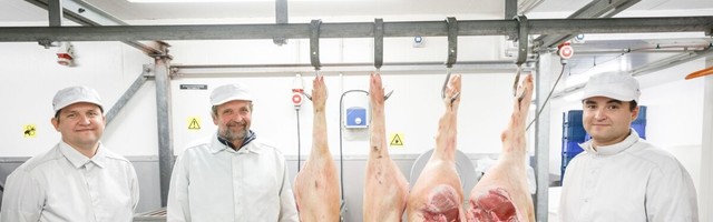 Perefirma Matsimoka paisutab musklit