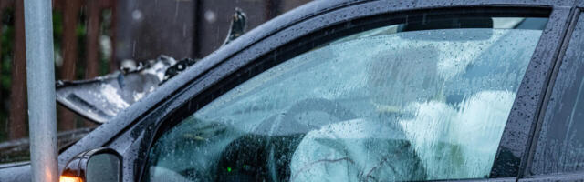 Tühjaks visisenud Eesti 200 asemel puhuti õhku täis uus tühi kott, Parempoolsed