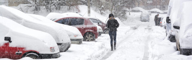 Kuidas muuta linn “ilmastikukindlaks”?