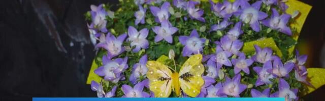 Türil tervitati kevadet