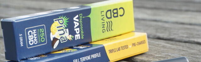 Бельгия первой из стран ЕС запретит одноразовые вейпы