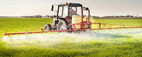 Nõuandeid taimekasvatajatele: kuidas targalt väetist valida?