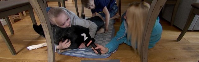 Reporter: Koduõppe võlud! Õpi seal, kus tahad!