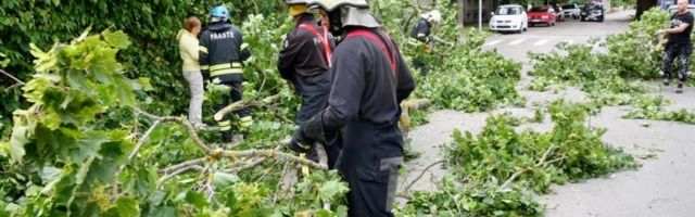 Tormi tõttu pole elektrit veel üle 10 000 majapidamisel