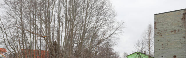 Turu tänava lepad jäävad parklale jalgu