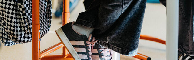 Яшин: скачка жалоб на русскоязычных детей из эстонских школ не было