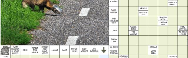 RISTSÕNA | 18.12.2025 (53)