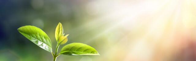 Nädala Sõnum: Esmaspäev 30.03 – Pühapäev 5.04.2026