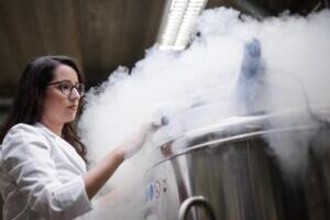 Geenivaramu veerandsajand