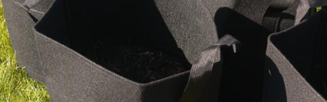 LAHE AED I Kartul potis, kotis ja peenral