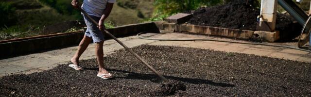 Kohvi hind kappab taas hoogsalt ülesmäge