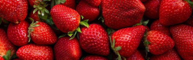 Iisraelis kasvanud pirakas maasikas purustas Guinnessi rekordi