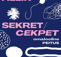 ETDM-i trepigaleriis  Ingrid Allik. SEKRET/CEKPET/omalooline PEITUS