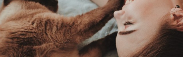 Pahane mees: naine võttis minuga rääkimata meile koju kassi! Mida ma nüüd peale hakkan?