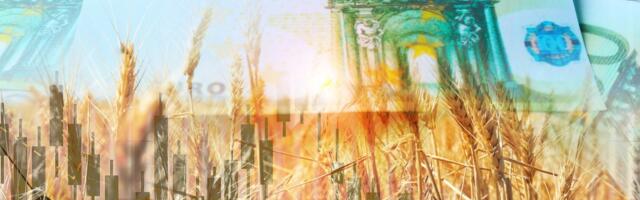 Kas miljonid meelitavad noored maale?