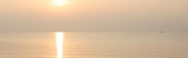 Aga koidu ajal seisis Jeesus kaldal