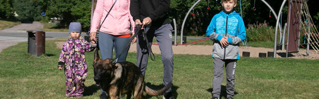 Vähene liikumine võib tuua nõrga südame, vaid iga kaheksas laps liigub piisavalt