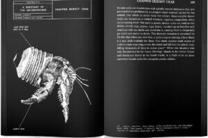 Pliotseenist pärit ahv loeb „Antropotseeni bestiaariumi“