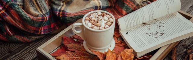 Kuidas kodus mugavalt sügist ja talve nautida?