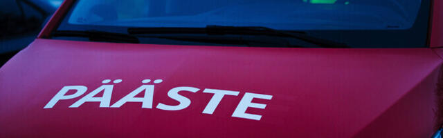 Päästjad kustutasid kaheksal korral tormist tingitud maastikupõlenguid