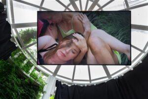 Fännikiri Artishokile