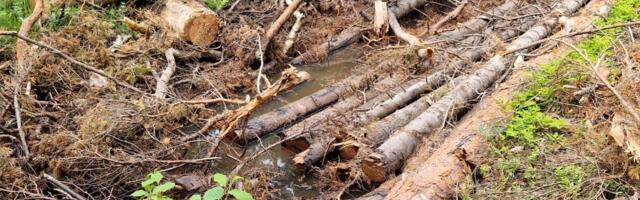 Mari Kartau: tooge terve mõistus tagasi!