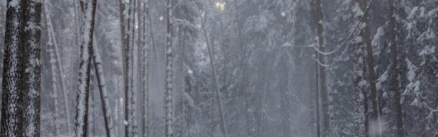 ILMATEADE | Tormituuled ja miinuskraadid püsivad