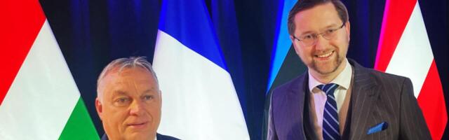 Haukuda võib, aga mitte vale puu all