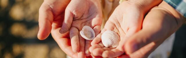 Sotsiaalkindlustusamet tuletab meelde: märtsis laekub vanemahüvitis 28 kalendripäeva eest
