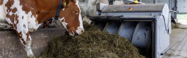 Saksamaa saab uuesti suu- ja sõrataudivaba riigi staatuse