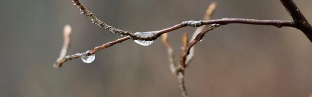 ILMATEADE | Märtsi viimane reede: pilves, tuuline ja vihmane