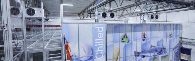 Samm edasi automatiseerimises: valmis külmutatud toodetele kohandatud robotladu