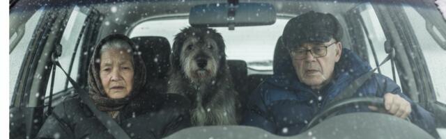 Talvesõidu A ja O: Kuidas oma Plekk-Liisut pakasega kenasti kohelda