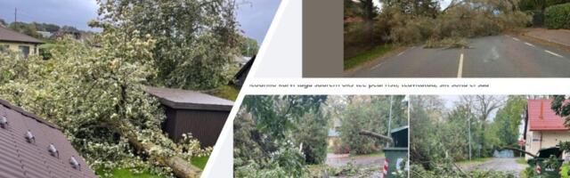 TORMIGALERII: marutuule tagajärgede peegeldused sotsiaalmeedias