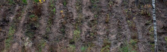 Raadamismääruse rakendamiseks tuli euroliidust edasi lükkamise ettepanek