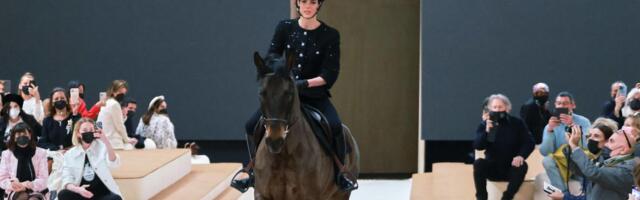 Moesõu koos printsessi ja hobusega